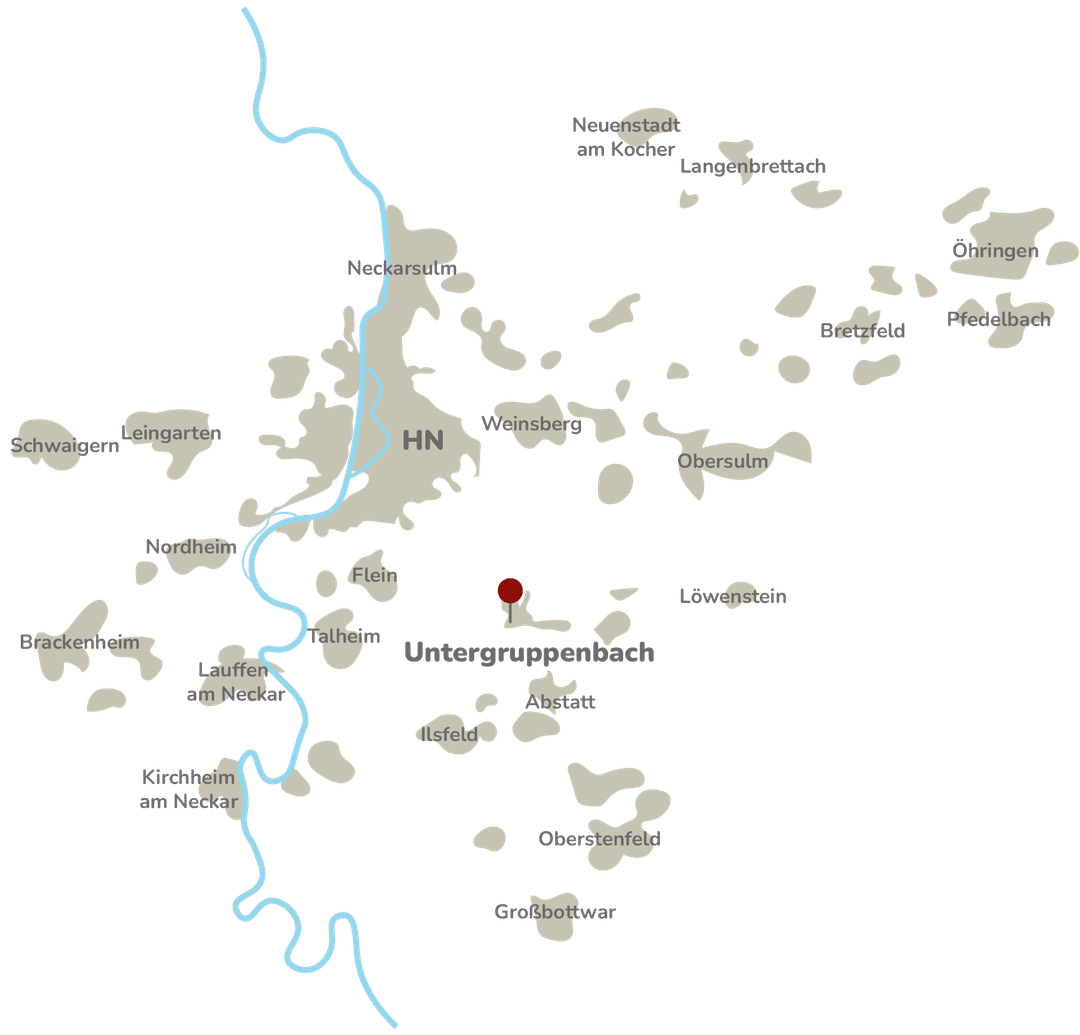 Einzugsgebiet Patientenfahrdienst Heilbronn Unterland – MedMobility